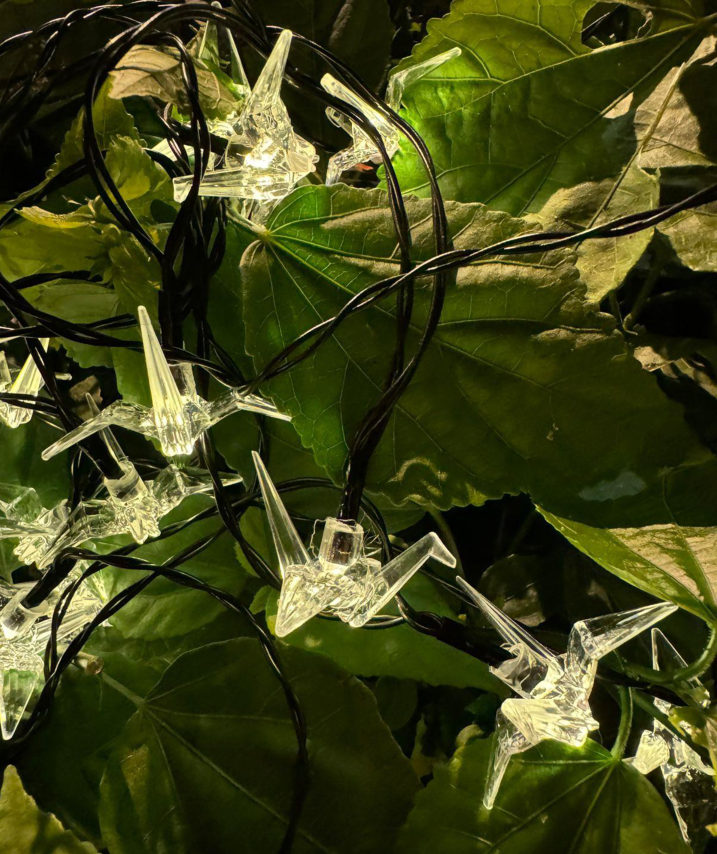 Guirnarla de luz solar de 5mts metros