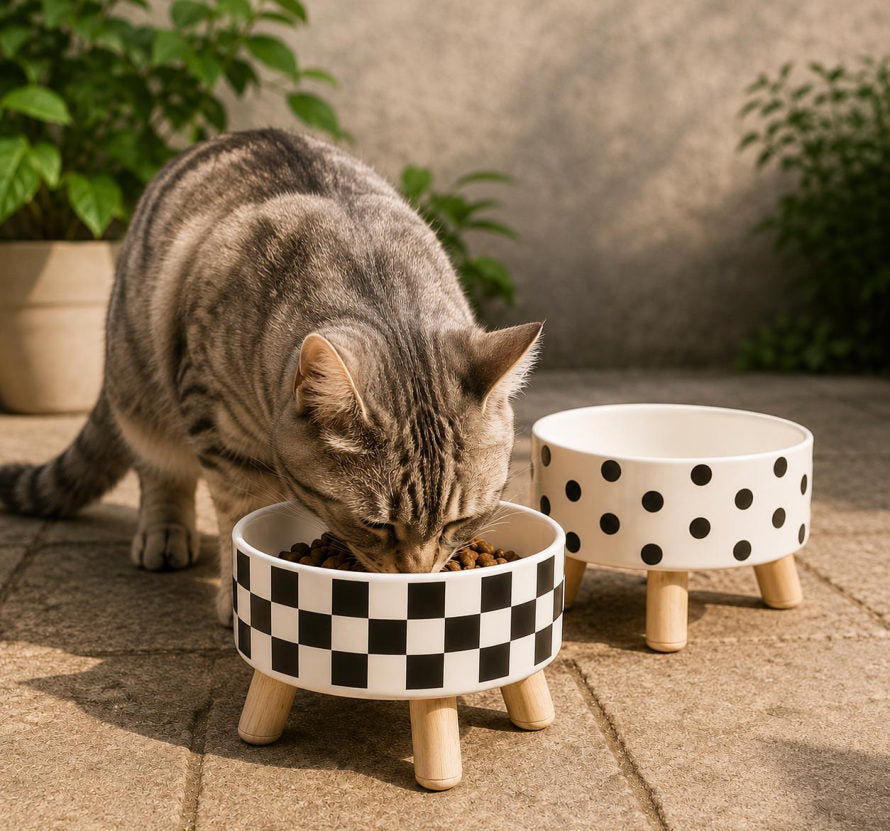 Plato para Mascota