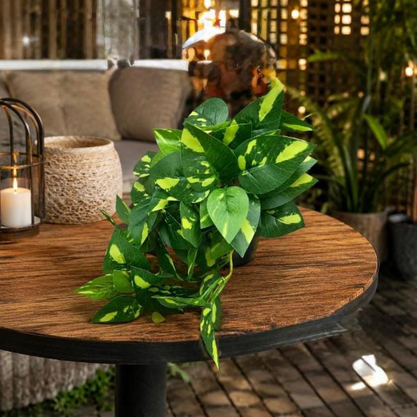 Planta con caída