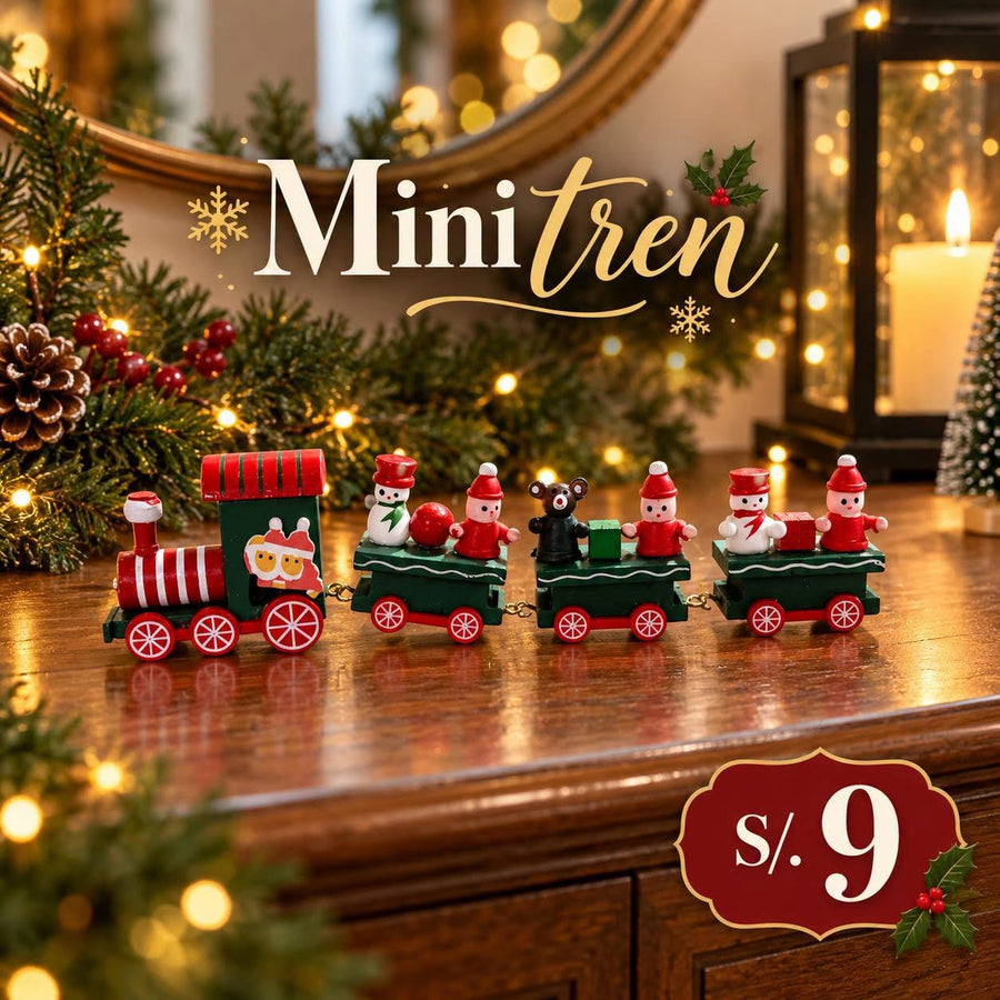 ❗️Mini Tren navideño