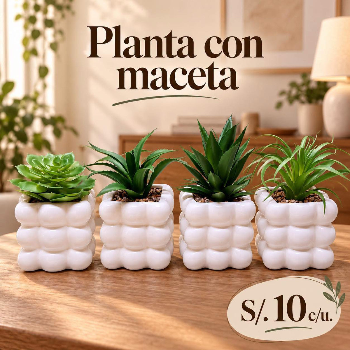 PLANTA CON MACETA